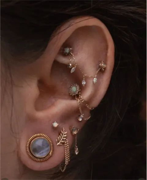 Kuratiertes Ohr mit Helix, Conch und Lobes